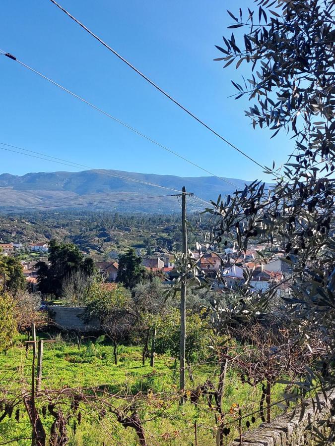 Casa Das Cortes - Serra Da Estrela Lägenhet Gouveia  Exteriör bild