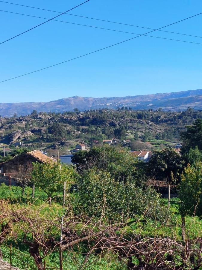 Casa Das Cortes - Serra Da Estrela Lägenhet Gouveia  Exteriör bild