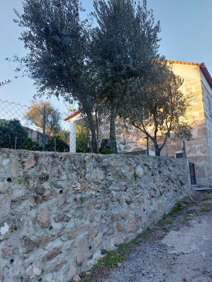 Casa Das Cortes - Serra Da Estrela Lägenhet Gouveia  Exteriör bild